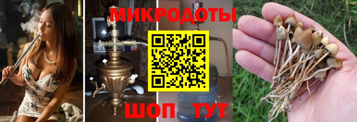 Псилоцибиновые грибы Cubensis  Вход с VPN  даркнет сайт  Балабаново 