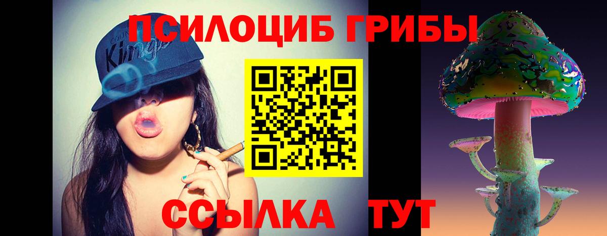Псилоцибиновые грибы прущие грибы Балабаново